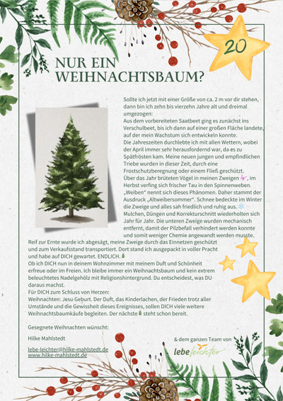 Bild für Post Lebe leichter Adventskalender